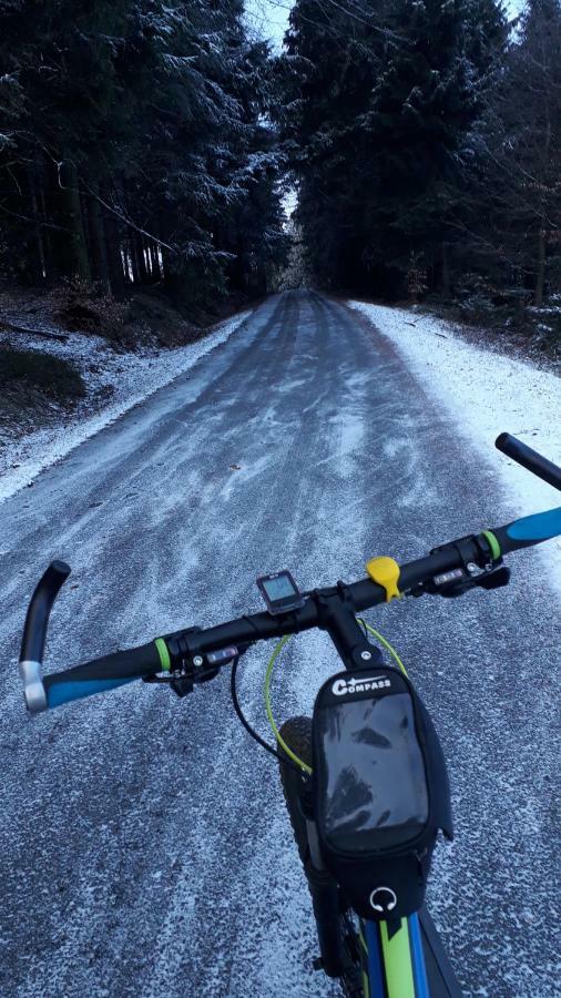 Ubytování Ronšperk Poběžovice Esterno foto